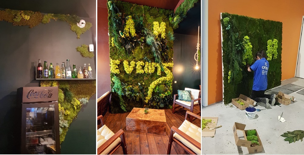decoration mur vegetalisé colmar