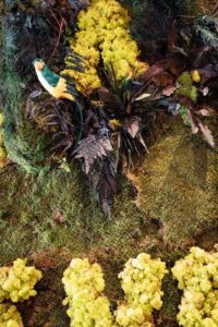 deco mur vegetal colmar details